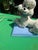 1970s Vintage Ceramic Sitting Poodle Table Lamp For Sale - Image 5 of 7