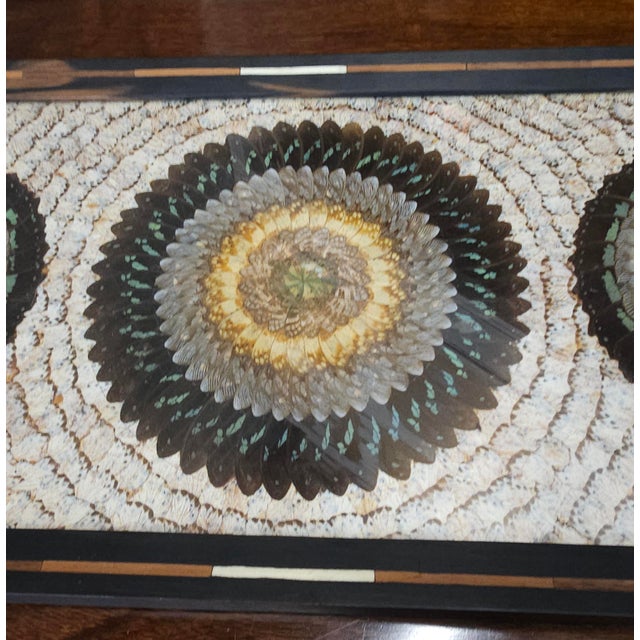 1940s Brazilian Butterfly Specimens in Teak With Bone Inlays Large Serving Tray For Sale - Image 4 of 7