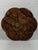 Mid-Century French Carved Oak Side Table with Lotus Motif, 1950s For Sale - Image 10 of 18