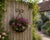 Vintage Wrought Iron Scrolled Wall Pocket Planter For Sale - Image 9 of 17