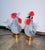 Vintage Rooster and Hen Lamps in Glass, 1980s, Set of 2 For Sale - Image 4 of 10