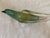 Glass Seguso Formia Vetri Di Murano Glass Birds For Sale - Image 7 of 14