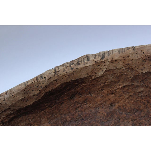 Large Cork Bark Decorative Bowl For Sale - Image 9 of 13