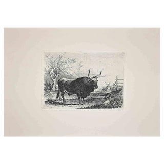 After Charles Coleman, The Bull in Roman Countryside, Original Etching, 1992 For Sale