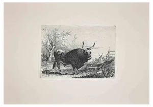 After Charles Coleman, The Bull in Roman Countryside, Original Etching, 1992