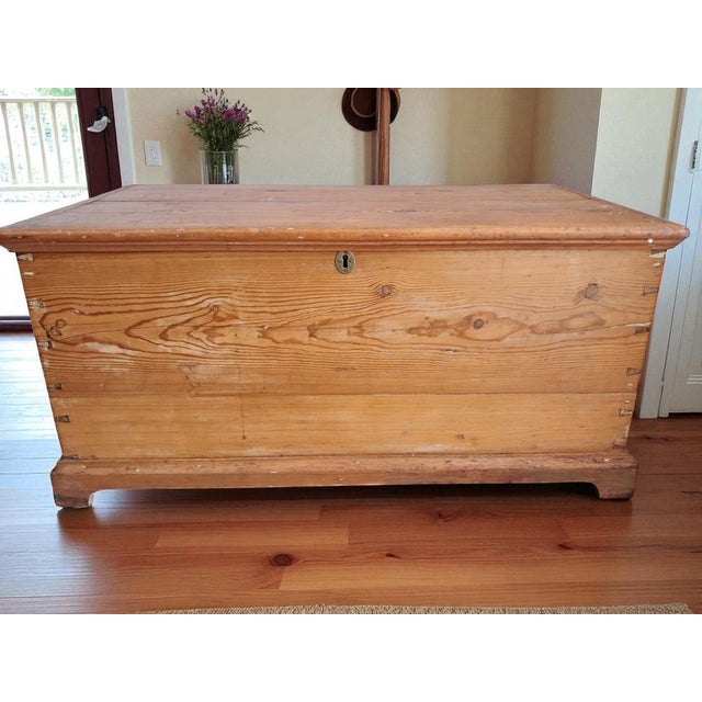 Antique Victorian Trunk in Pine, 1890s For Sale - Image 5 of 18