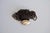 Vintage Monies Faux-Horn Bracelet by Gerda Lynggaard, 1990s For Sale - Image 14 of 14