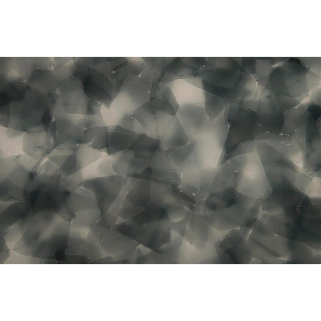 Contemporary Phillips Collection Fused Glass, Black, White For Sale - Image 3 of 4