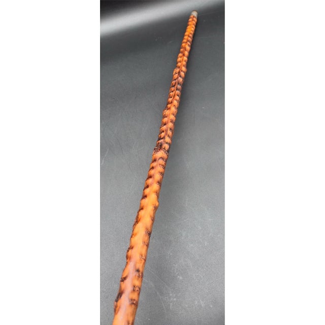 Antique Victorian Brussel Sprout Stalk Walking Stick, Sterling Silver Adornment For Sale In New York - Image 6 of 17