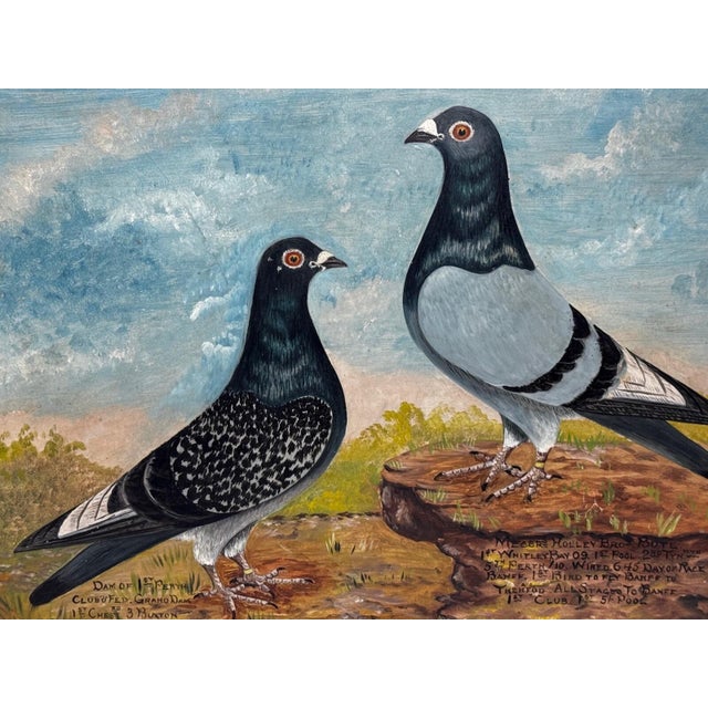 Early 20th Century Circa 1930 British Folk Art Champion Racing Pigeons Oil Painting For Sale - Image 5 of 18