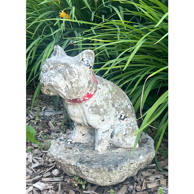 French Antique Weathered French Bull Dog Concrete Dog Statue, C. 1940's For Sale - Image 3 of 15