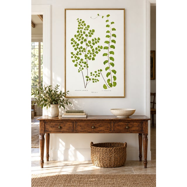 Illustration Fern Art Print – Antique Maidenhair Botanical Illustration, 40" X 60" For Sale - Image 3 of 8