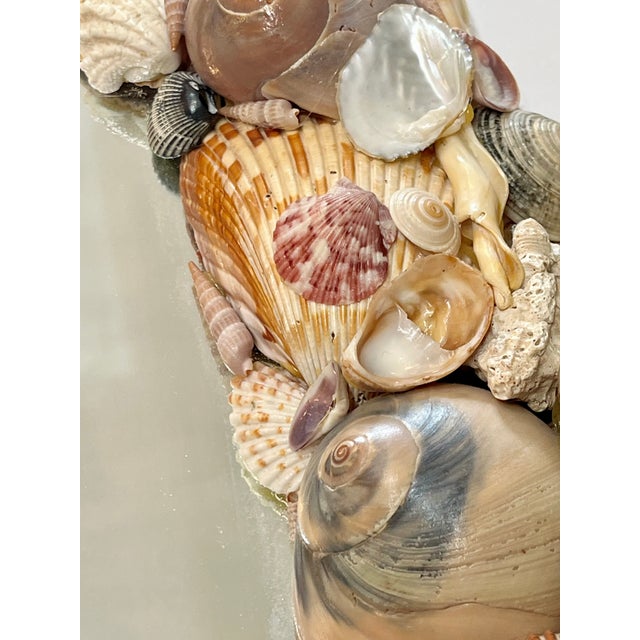 American Vintage Coastal Oval Shell Encrusted Mirror For Sale - Image 3 of 14