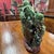 Aqua 20th Century Chinese Art Jade Vase Sculpture, 1900 For Sale - Image 8 of 12