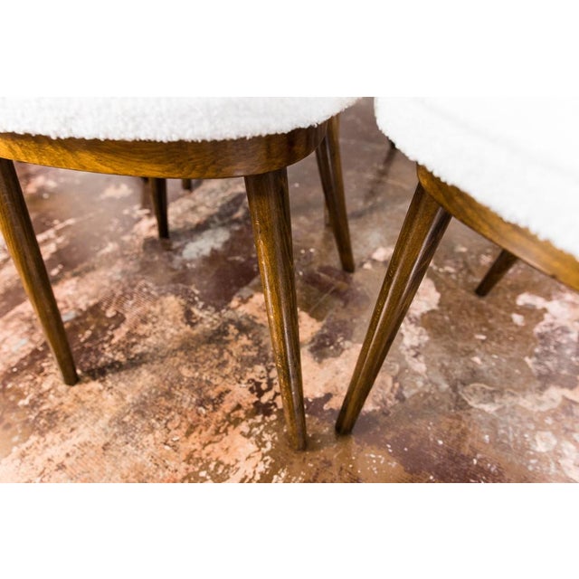 Wood Model No. 124 Chairs attributed to Helena & Jerzy Kurmanowicz, Poland, 1960s, Set of 6 For Sale - Image 7 of 16