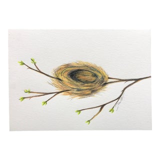 “Empty Nest” Contemporary Original Colored Pencil Drawing by Nancy Smith For Sale
