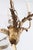 Metal Early 20th Century The Plaza Hotel Bronze Glass Bell Jar Ceiling Light For Sale - Image 7 of 12