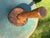 Very Early Rustic Wooden Mallet For Sale - Image 6 of 7