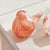 Orange Little Finches, Set Of 2 For Sale - Image 8 of 9