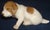 Royal Copenhagan Vintage MCM Royal Copenhagen Pointer Puppy Dog Figurine For Sale - Image 4 of 5