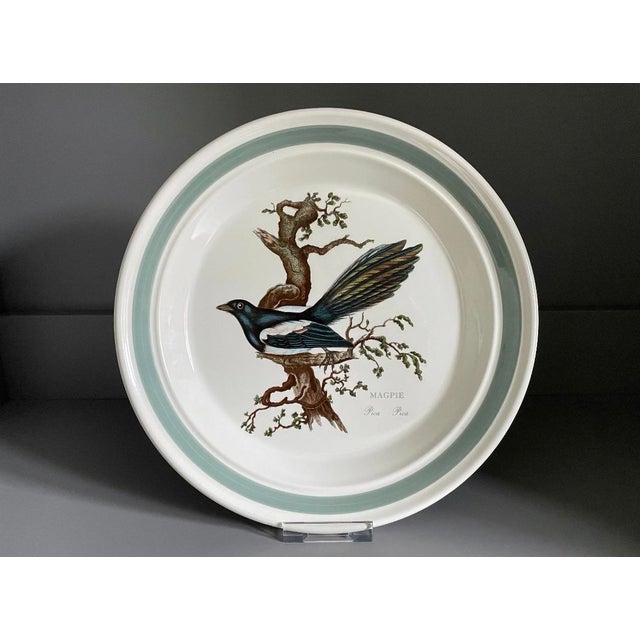 Ceramic Vintage Portmeirion Birds of Britain Magpie Dinner Plate – Green Band For Sale - Image 7 of 7
