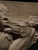 Parthenon Frieze, British Museum Replica, 1800s, Resin, in Very Good conditions. Designed before 1890 This piece has an...