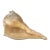 Vintage Mid-Century Modern Conch Seashell For Sale