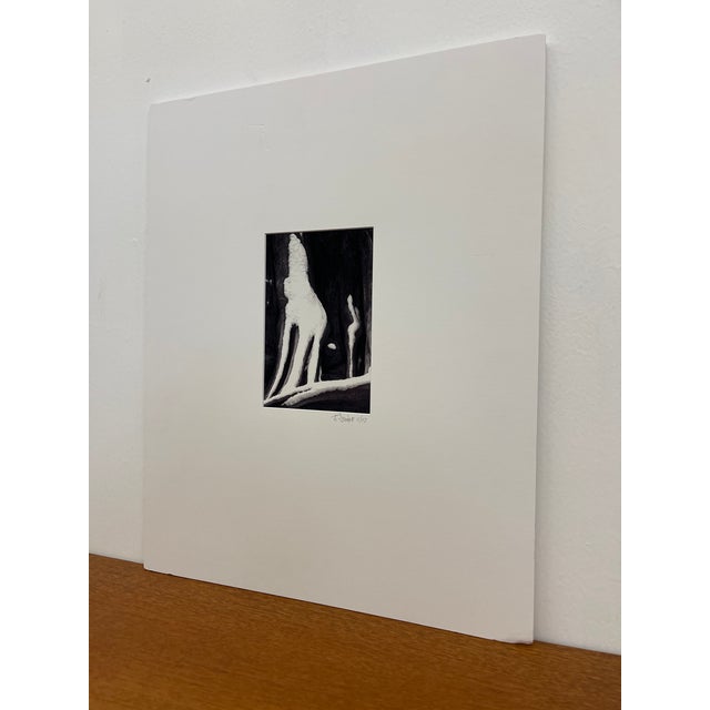 Black and white photographic print titled Howling Wolfe, created in November 2003 and depicting an abstract, naturally...