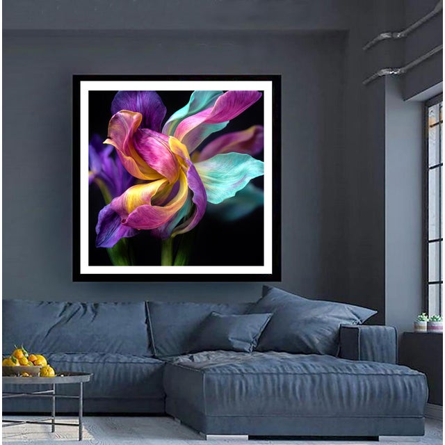 Experience the vibrant energy of "Color Swirl," a stunning fine art photograph that captures a single, colorful flower in...