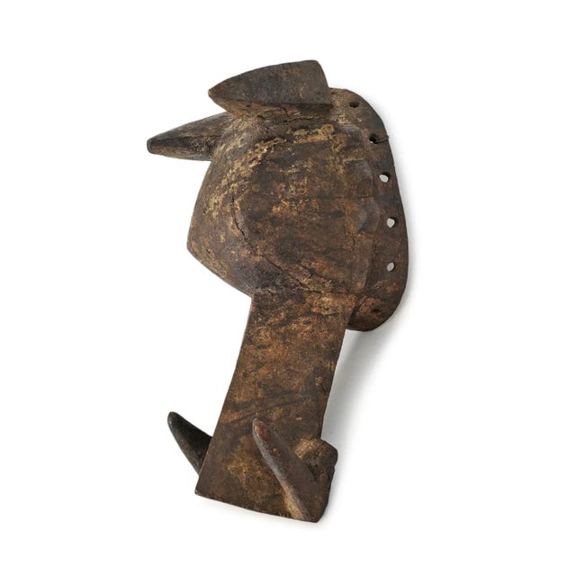 Modern Vintage Bobo Wild Boar Mask For Sale - Image 3 of 8