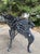Late 19th Century Late 19th Century Cast Iron Laurel Griffin Garden Chair Bench For Sale - Image 5 of 12