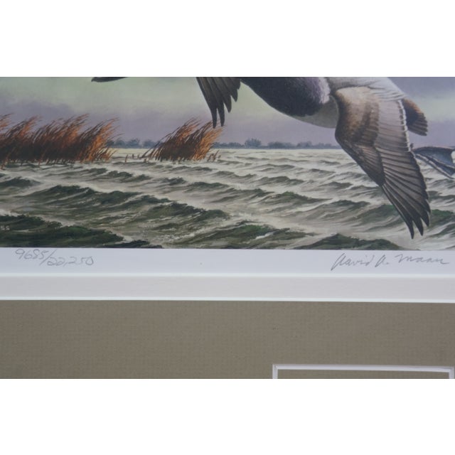 1980s 4 Ducks Unlimited Federal Duck Signed Stamp Prints Brass Plaque Pine Frame 25" - Set of 4 For Sale - Image 11 of 17