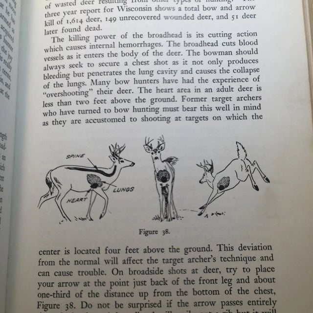 Paper "Guide to Better Archery" 1955 Book For Sale - Image 7 of 9