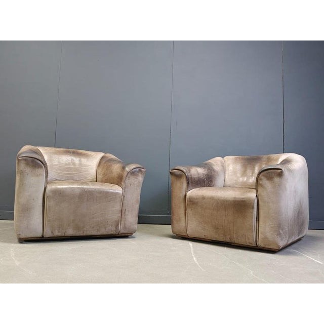 Brown DS47 Armchairs from De Sede, 1970s, Set of 2 For Sale - Image 8 of 13