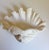 Serge Roche Style Clam Shell Wall Pockets - A Pair For Sale In Sacramento - Image 6 of 13
