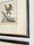 Set of 4 Framed 18th Century George Edward’s Hand Colored Bird Prints For Sale - Image 11 of 11