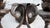 Chocolate Acanthus Leaf Exterior 3-Arm Sconces - a Pair For Sale - Image 8 of 13