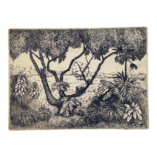 1970s Tropical Garden Etching For Sale