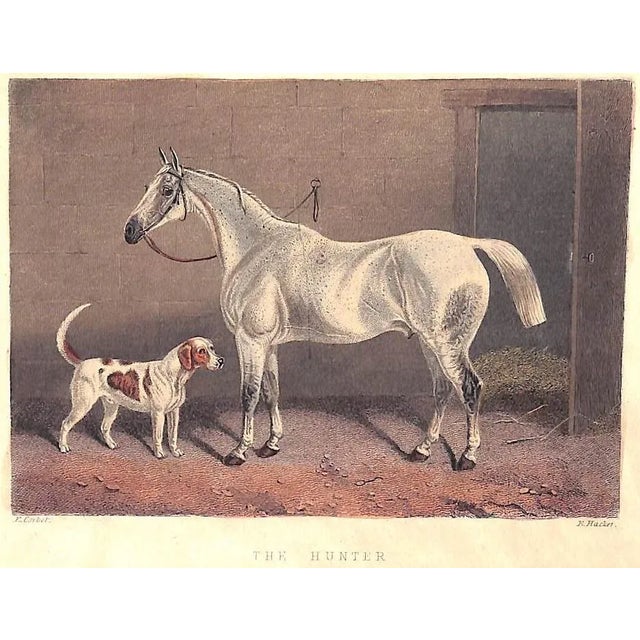 "The Noble Science of Fox-Hunting: Vol I & Ii" 1911 Blew, w.c.A. For Sale - Image 13 of 15