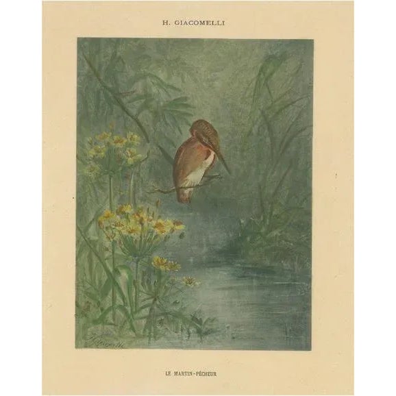 Paper Giacomelli, Kingfisher by the Water's Edge, 1891, Print For Sale - Image 7 of 7