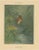 Paper Giacomelli, Kingfisher by the Water's Edge, 1891, Print For Sale - Image 7 of 7