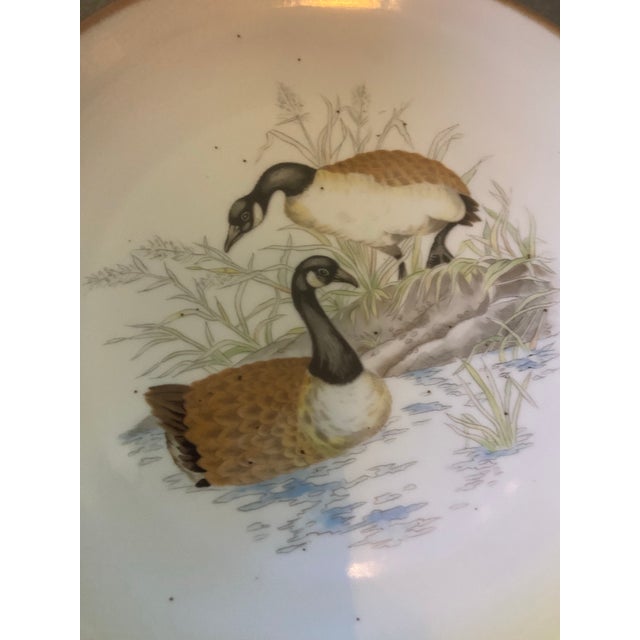 Vintage Andrea by Sadek Wild Game Bird Plates, Japan - Set of 4 For Sale - Image 9 of 11