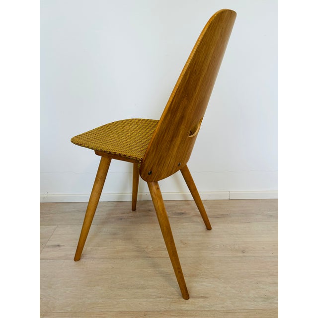 Wood Dining Chair by Frantisek Jirak for Tatra Nabytek, 1950s For Sale - Image 7 of 11