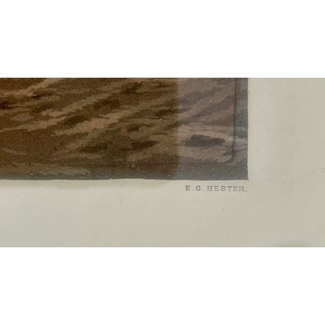 19th C. English Traditional Fox Hunting Engraving After Sheldon