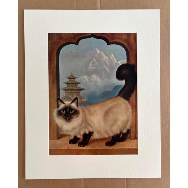 Realism Vintage 1965 Girard Goodenow Cat Print in 16x20 Mat, Ready to Frame: Himalayan For Sale - Image 3 of 3