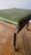 Dark Green 19th Century Antique Cobblers Stool-Carved-Egg and -Dart Trim, Green Leather and Iron Legs. For Sale - Image 8 of 12