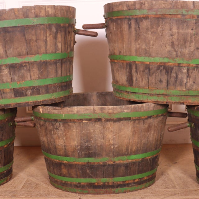 French Grape Picking Tubs, 1920s, Set of 5 For Sale - Image 4 of 7