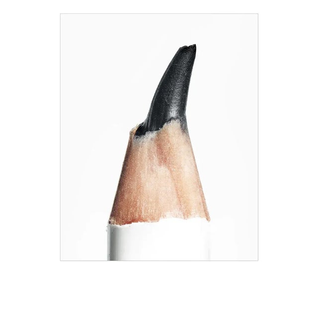 Charlie Green's Pencil by Secret Life of Pencil Print, 60" x 80" For Sale