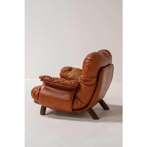 Brown Lounge Chair by E. Cobianchi for Insa, Italy, 1970s For Sale - Image 8 of 9