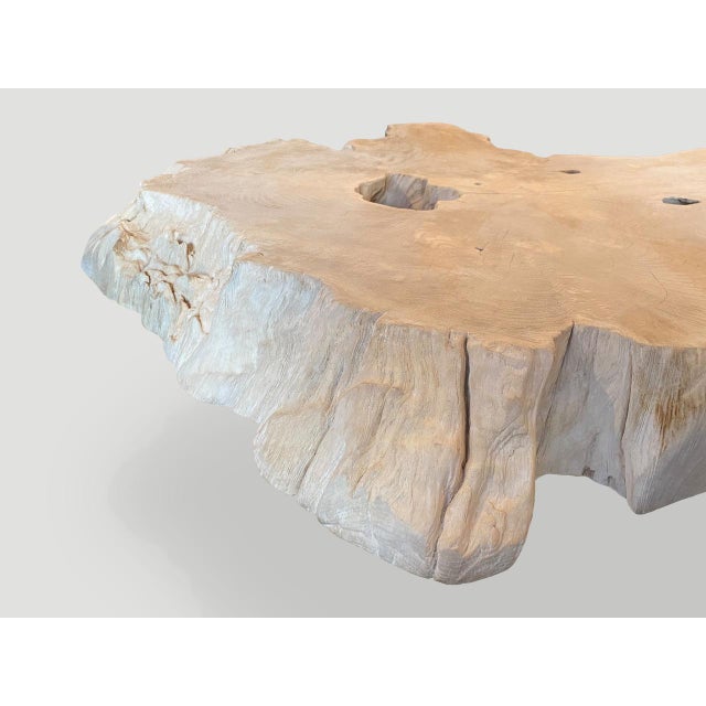 Andrianna Shamaris Amorphous Mid Century Style Bleached Teak Wood Coffee Table For Sale - Image 10 of 18